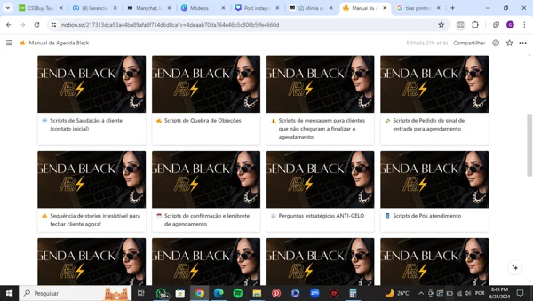 Área de conteúdos do Manual da Agenda Black