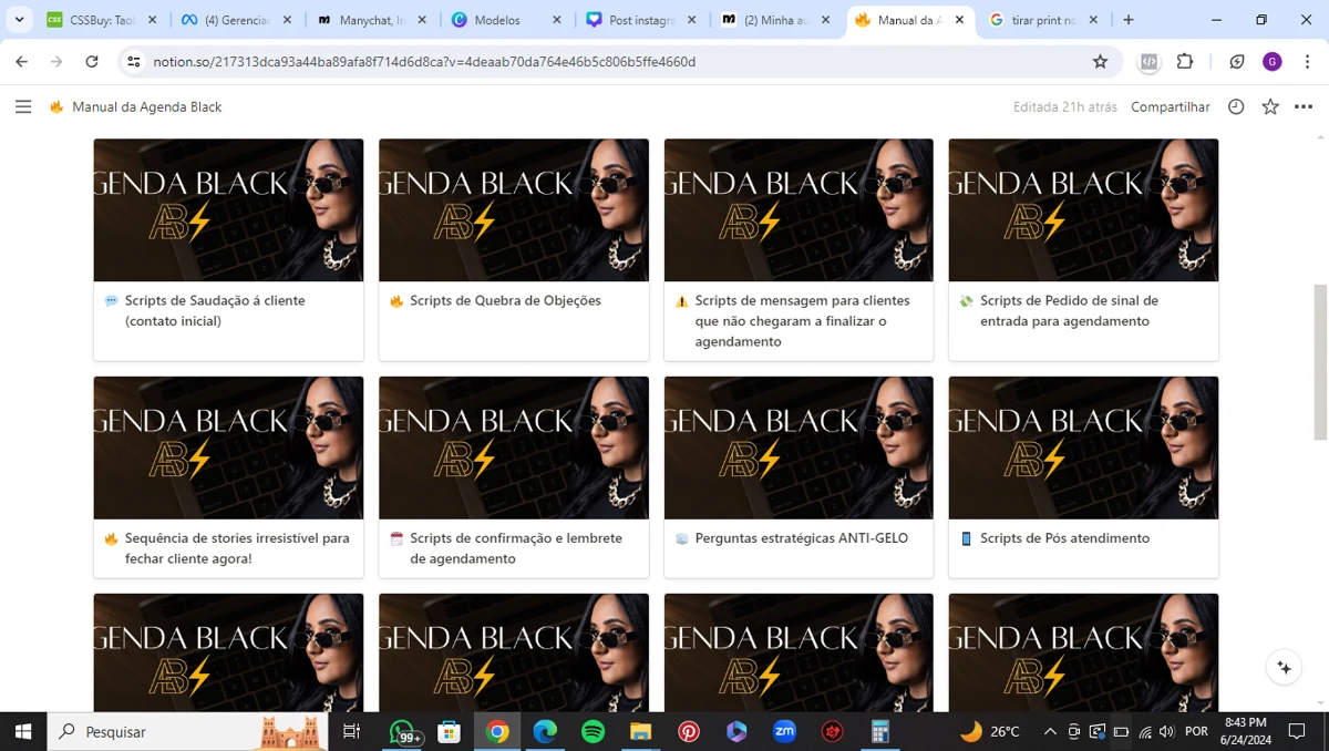 Visão real dos conteúdos organizados no Manual da Agenda Black